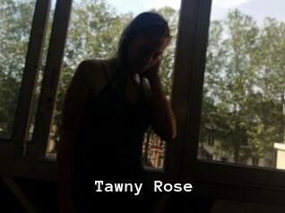 Tawny_Rose