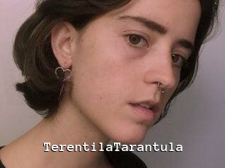 TerentilaTarantula
