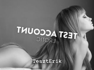 TesztErik