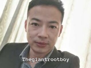 Thegiantrootboy