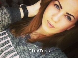 TinyTess