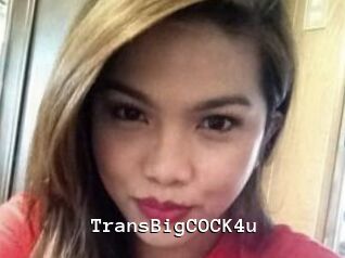 TransBigCOCK4u