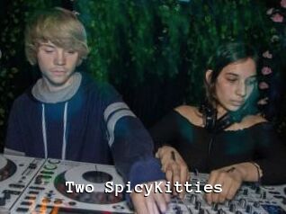 Two_SpicyKitties
