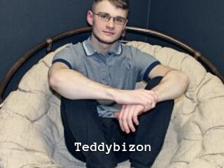 Teddybizon