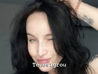 Tenesigrou