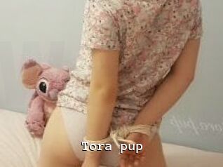 Tora_pup