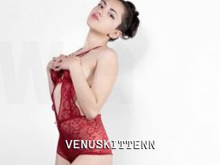 VENUSKITTENN