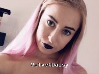 VelvetDaisy