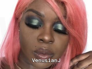 VenusianJ
