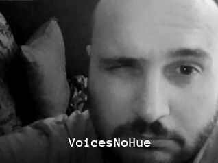 VoicesNoHue