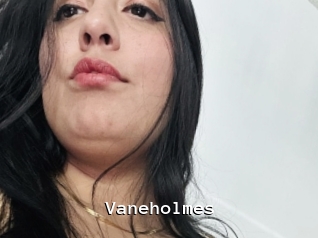 Vaneholmes