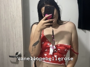 Vanellopebellerose