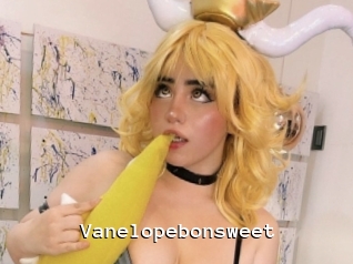 Vanelopebonsweet