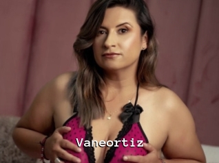 Vaneortiz