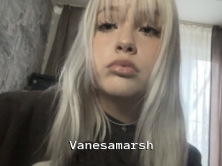 Vanesamarsh