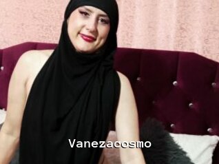 Vanezacosmo