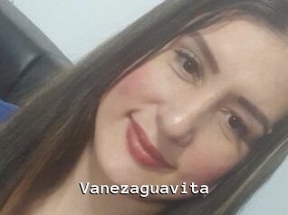 Vanezaguavita