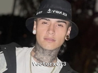 Vectorx073