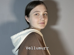 Vellumurr