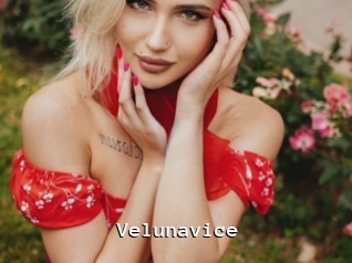 Velunavice
