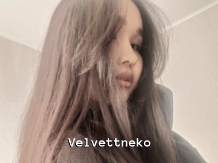 Velvettneko