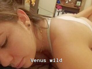Venus_wild