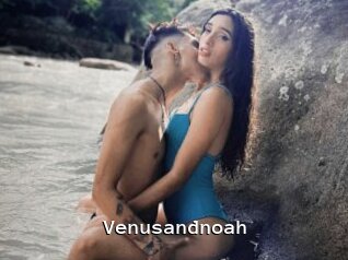 Venusandnoah