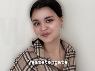 Vestatongate