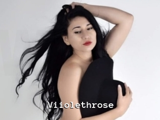 Viiolethrose