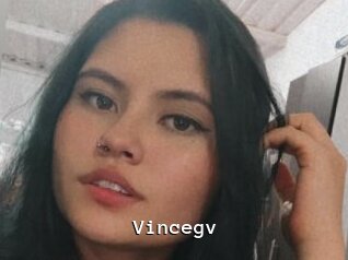 Vincegv