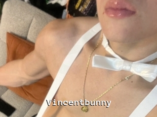 Vincentbunny