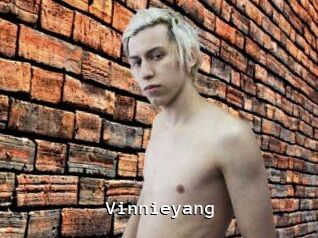 Vinnieyang