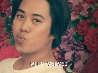 WILD_VELVET