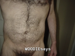 WOODIEsays Webcamsex Amateur