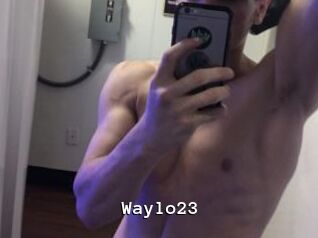 Waylo23