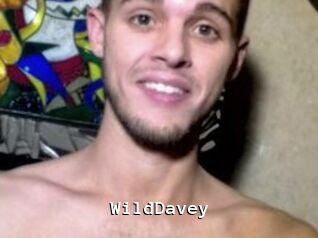 WildDavey