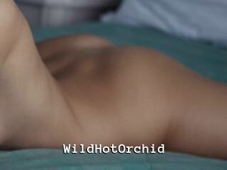 WildHotOrchid
