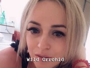 Wild_Orrchid