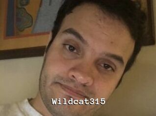 Wildcat315