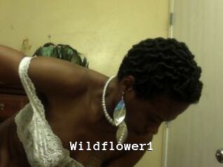 Wildflower1