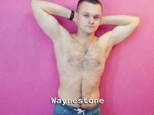 waynestone Webcamsex Amateur