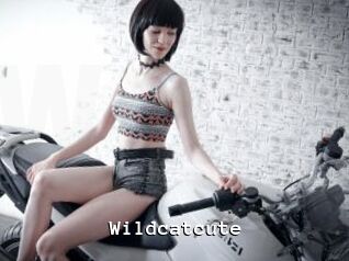 Wildcatcute