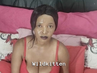 Wildkitten