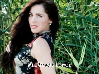 Wildredflower