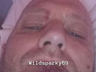 wildsparky69 Webcamsex Amateur