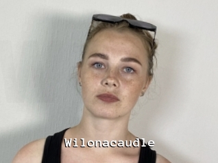 Wilonacaudle