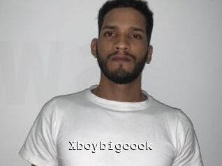Xboybigcock