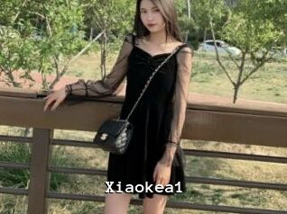Xiaokea1