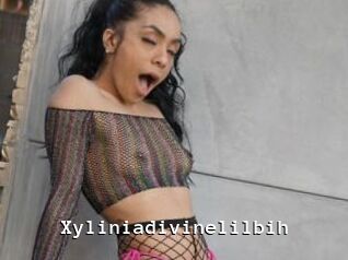 Xyliniadivinelilbih
