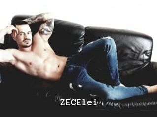 ZECElei